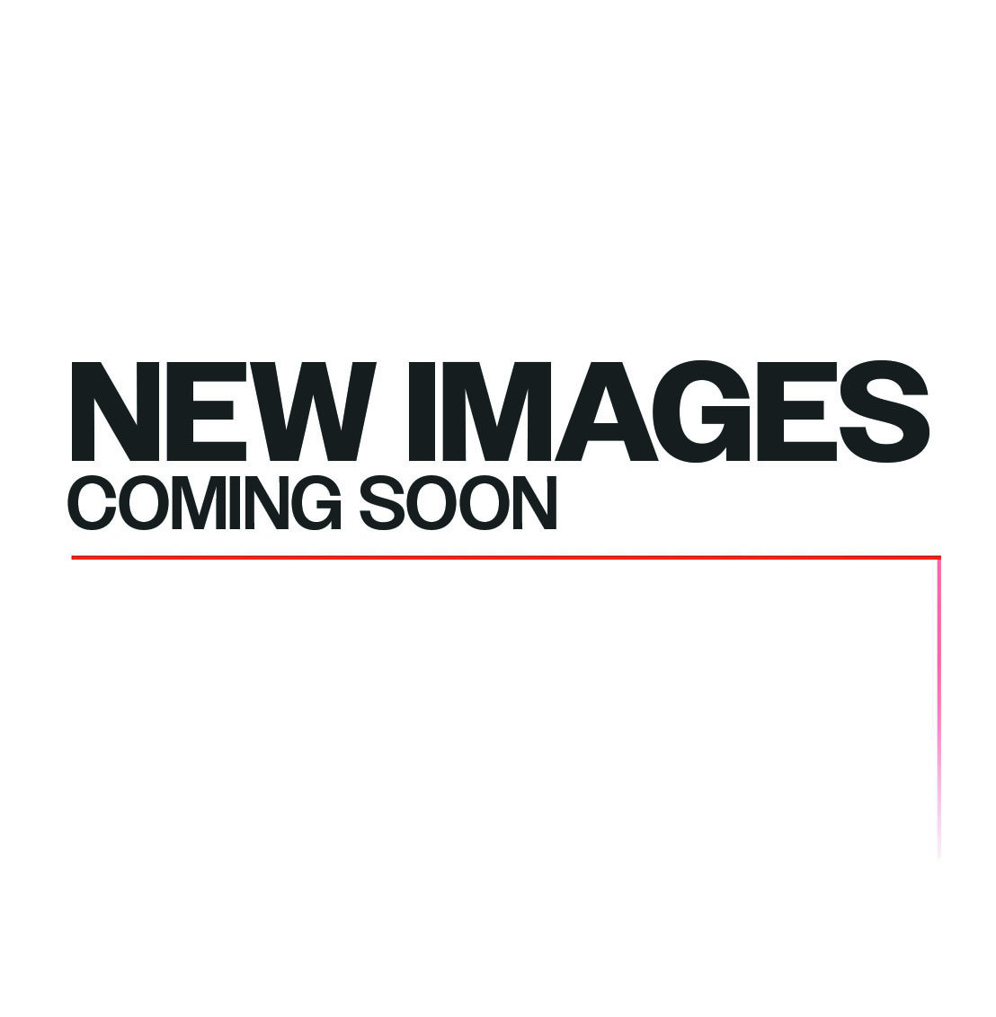 RacingLine Sports Spring Kit / Polo GTI AW